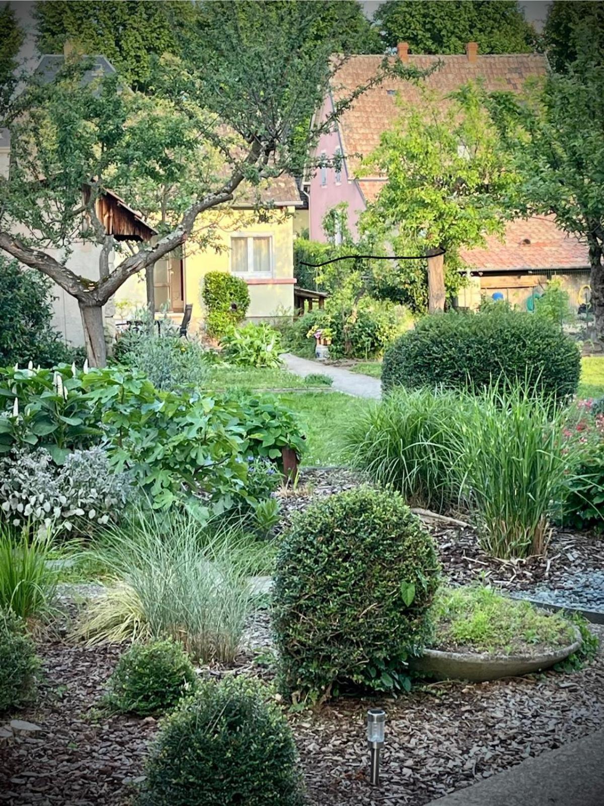 Le Beethoven Villa Colmar Exterior foto